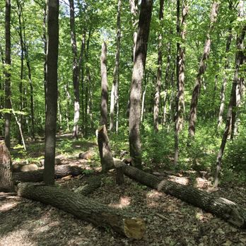 Cox Arboretum MetroPark - Parks Near Me - Dayton, Ohio Cox Arboretum MetroPark - Parks Near Me - Dayton, Ohio