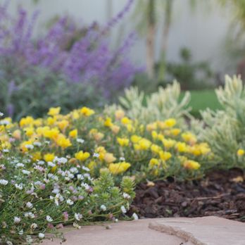 Soulful Spaces - Landscape Architects or Designers Near Me Soulful Spaces - Landscape Architects or Designers Near Me