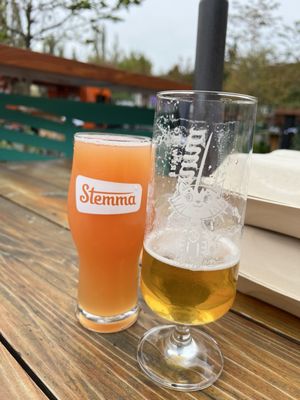 Stemma Brewing Company by null
