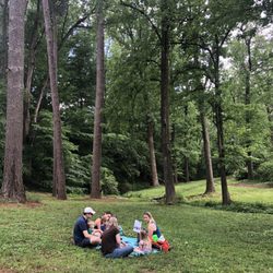 Tyke Hike - Tyke Hike in Ansley Park