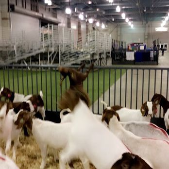 Sacramento County Fair - Festivals Near Me - Sacramento, California Sacramento County Fair - Festivals Near Me - Sacramento, California