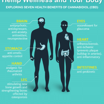 Elevation Wellness - Cannabis Clinics Near Me - Ypsilanti, Michigan Elevation Wellness - Cannabis Clinics Near Me - Ypsilanti, Michigan