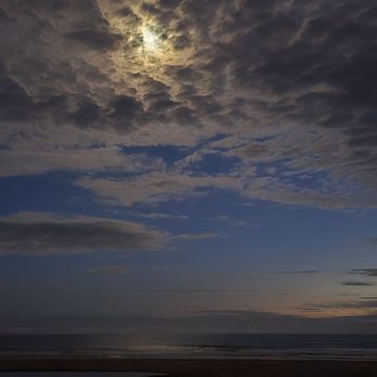 North Beach Campground - Campgrounds Near Me - Pismo Beach Ca, California
