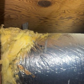 Pro Insulation & Rodents - Insulation Installation Near Me