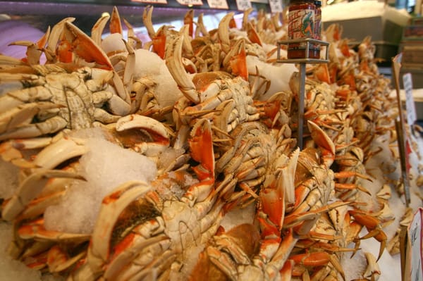 Seattle Bites Food Tours by null
