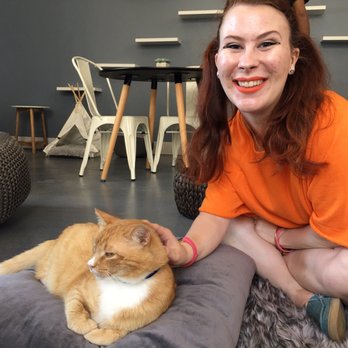 Cat Therapy - Pet Adoption Near Me - Santa Barbara, California Cat Therapy - Pet Adoption Near Me - Santa Barbara, California