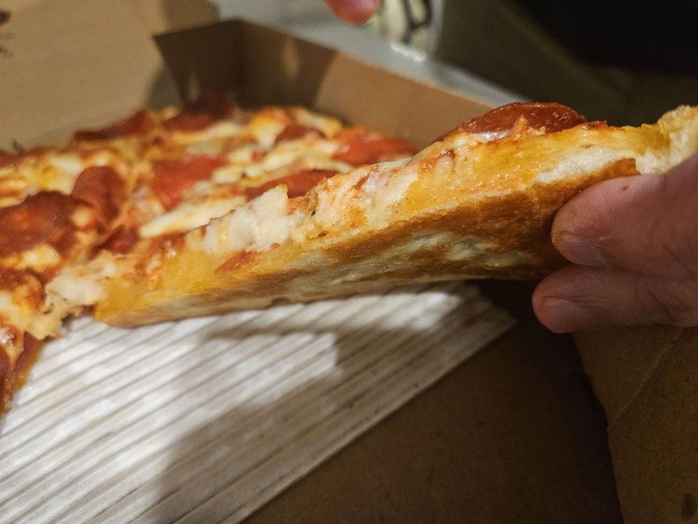 Domino's Pizza Logo