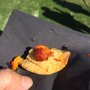 Photo of Bacon and Beer Classic