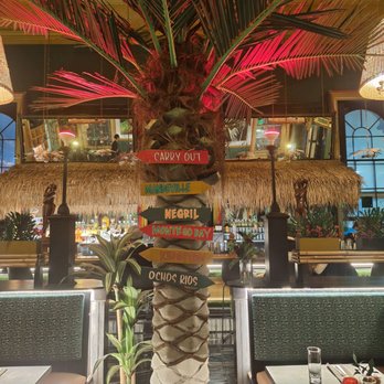 Jerk At Nite - Palm tree Jamaica style - Caribbean Near Me - Baltimore, Maryland