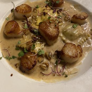 Prosecco Italian Restaurant - Pan seared scallops with squash ravioli's in a brandy cider cream sauce with candied walnuts. - Italian Near Me - Farmington, New York Prosecco Italian Restaurant - Pan seared scallops with squash ravioli's in a brandy cider cream sauce with candied walnuts. - Italian Near Me - Farmington, New York