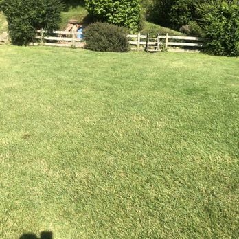 Hobbiton Movie Set - Walking Tours Near Me - Matamata, WKO