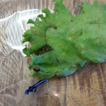 Gerry Frank's Konditorei - Rotten lettuce in my sandwich - Desserts Near Me - Salem, Oregon