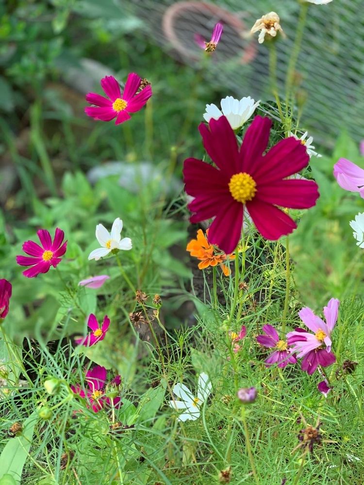 Inroad Behavioral And Social Health - grief counselor in Wilmington, DE