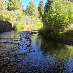 South Fork Campground - Shadey spot under the bridge to cool the feet in.
