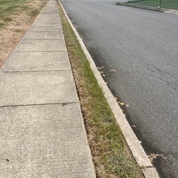 TruGreen did not service area between side walk and road. TruGreen did not service area between side walk and road.