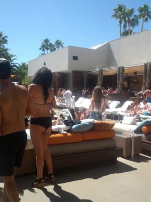 Bare Pool Lounge by null