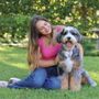 Photo of Namaste Poodles & Doodles