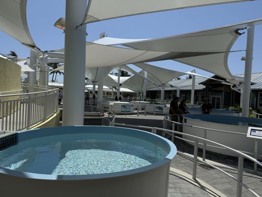 Loggerhead Marinelife Center by null