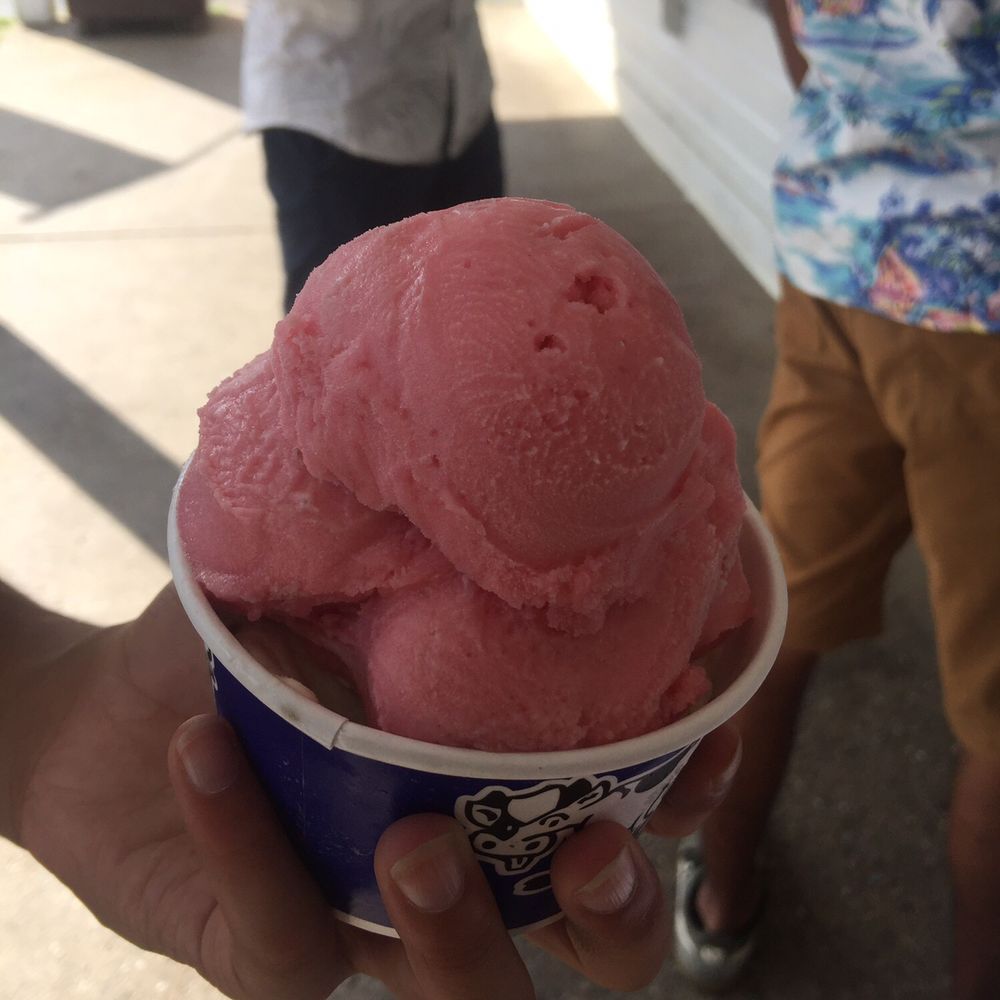 Erikson's Ice Cream - Raspberry sorbet - Ice Cream & Frozen Yogurt Near Me - Maynard, Massachusetts Erikson's Ice Cream - Raspberry sorbet - Ice Cream & Frozen Yogurt Near Me - Maynard, Massachusetts