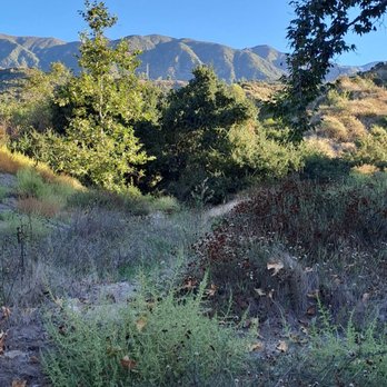 Altadena Crest Trail - Great views and wonderful plant life - Hiking Near Me Altadena Crest Trail - Great views and wonderful plant life - Hiking Near Me