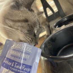 Cat food and my 12yr old cat Cat food and my 12yr old cat