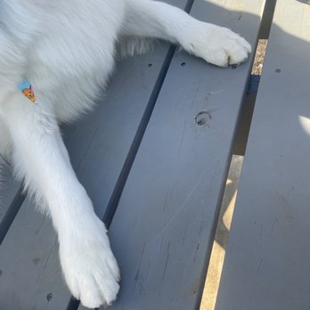 Kennelwood Pet Resort - Fancy paws - Pet Training Near Me - O'fallon, Illinois Kennelwood Pet Resort - Fancy paws - Pet Training Near Me - O'fallon, Illinois