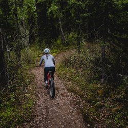 North Shore Cyclery - One of our fat bikes riding around Talkeetna Lakes trails.
