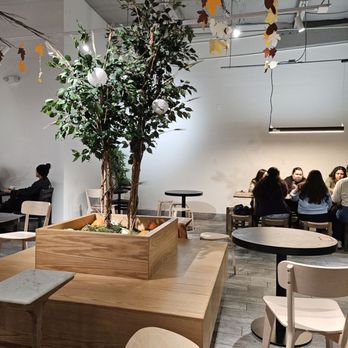 Peak Cafe - Cafes Near Me - Northridge, California Peak Cafe - Cafes Near Me - Northridge, California