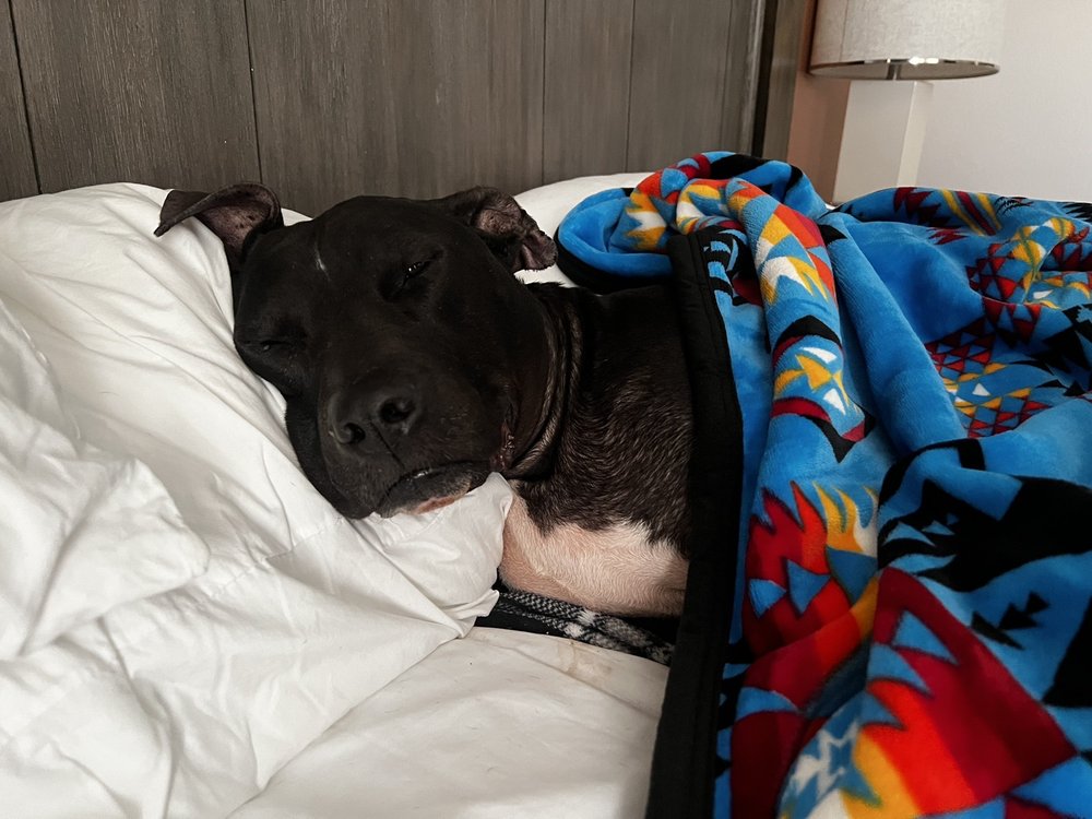 Goodman's Department Store, Pagosa Springs Roadtrippers