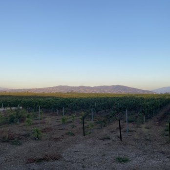 BOTTAIA Winery - Vineyard view - Wine Tasting Room Near Me - Temecula, California BOTTAIA Winery - Vineyard view - Wine Tasting Room Near Me - Temecula, California