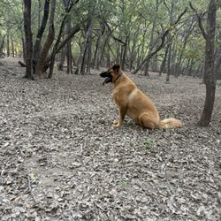 Tails 'N Trails