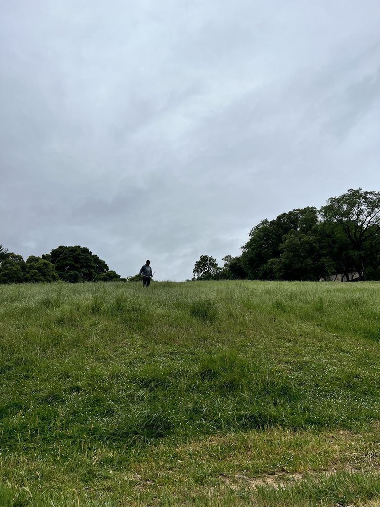 UKIAH GOLF COURSE Updated September 2024 11 Photos & 22 Reviews