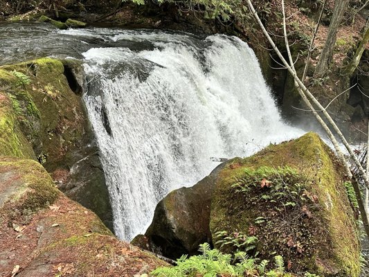 Whatcom Falls by null