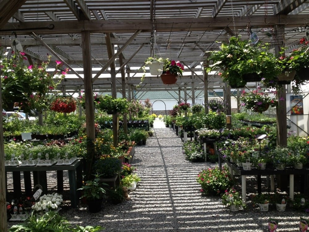 ACHILLE AGWAY Updated September 2024 20 Reviews 65 Jaffrey Road