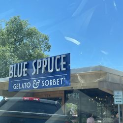 Blue Spruce