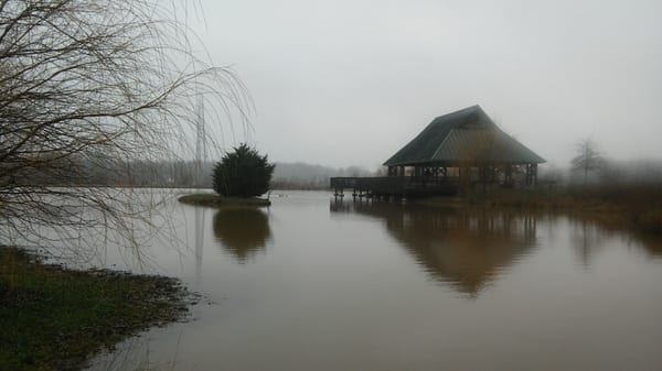 Northern Fauquier Community Park by null