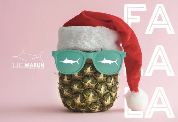 JENNIFER BURROUGHS - BLUE MARLIN REAL ESTATE - 630 Cone Park Ct