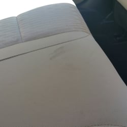 Budget - Pet paw marks and hair