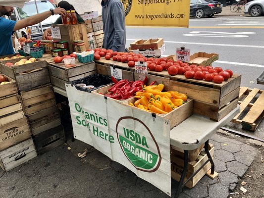Tompkins Square Park Greenmarket by null