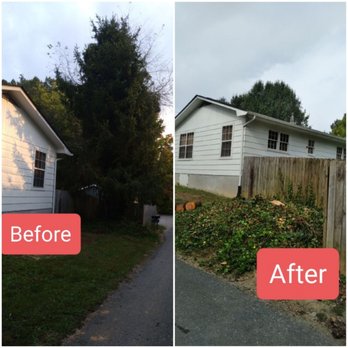 Flores Tree Service - Two trees removed near the house - Tree Services Near Me - Knoxville, Tennessee Flores Tree Service - Two trees removed near the house - Tree Services Near Me - Knoxville, Tennessee