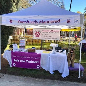 Pawsitively Mannered - Pet Training Near Me Pawsitively Mannered - Pet Training Near Me