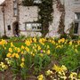 Photo of Pioneer Landscape Centers | SiteOne Stone Center