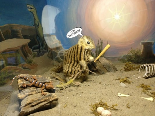 World Famous Gopher Hole Museum by null