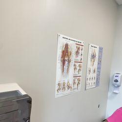 Duly Health & Care - Hips and knees diagrams