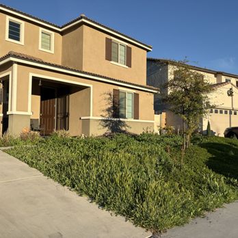Big Bully Turf - Artificial Turf Near Me - San Diego, California Big Bully Turf - Artificial Turf Near Me - San Diego, California