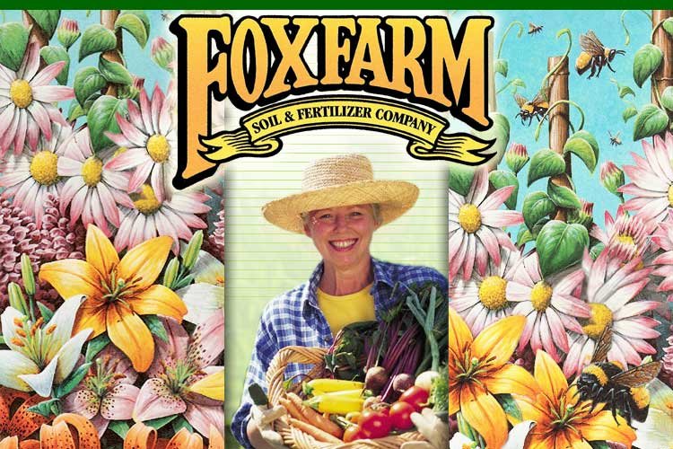 SOULLIERE LANDSCAPING PATIO & GARDEN CENTER Updated October 2024 34