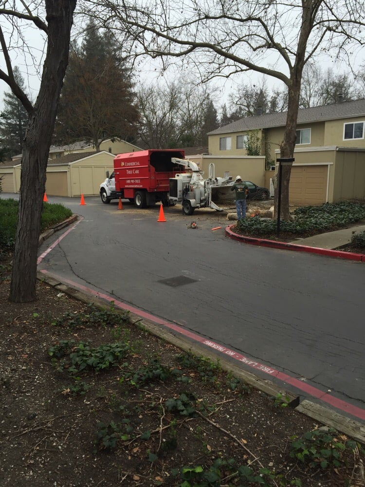 ROSE GARDEN VILLAGE APARTMENTS Updated September 2024 802 Camino