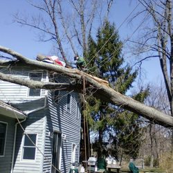 Glinski Tree Service