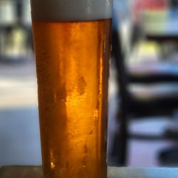Oak and Otter Brewing - Octoberfest Lager