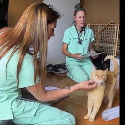 Our cat was always excited to see them when they visited Our cat was always excited to see them when they visited